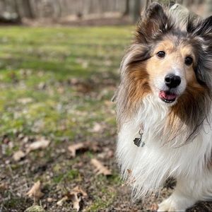 Meet your Posher, Margaret